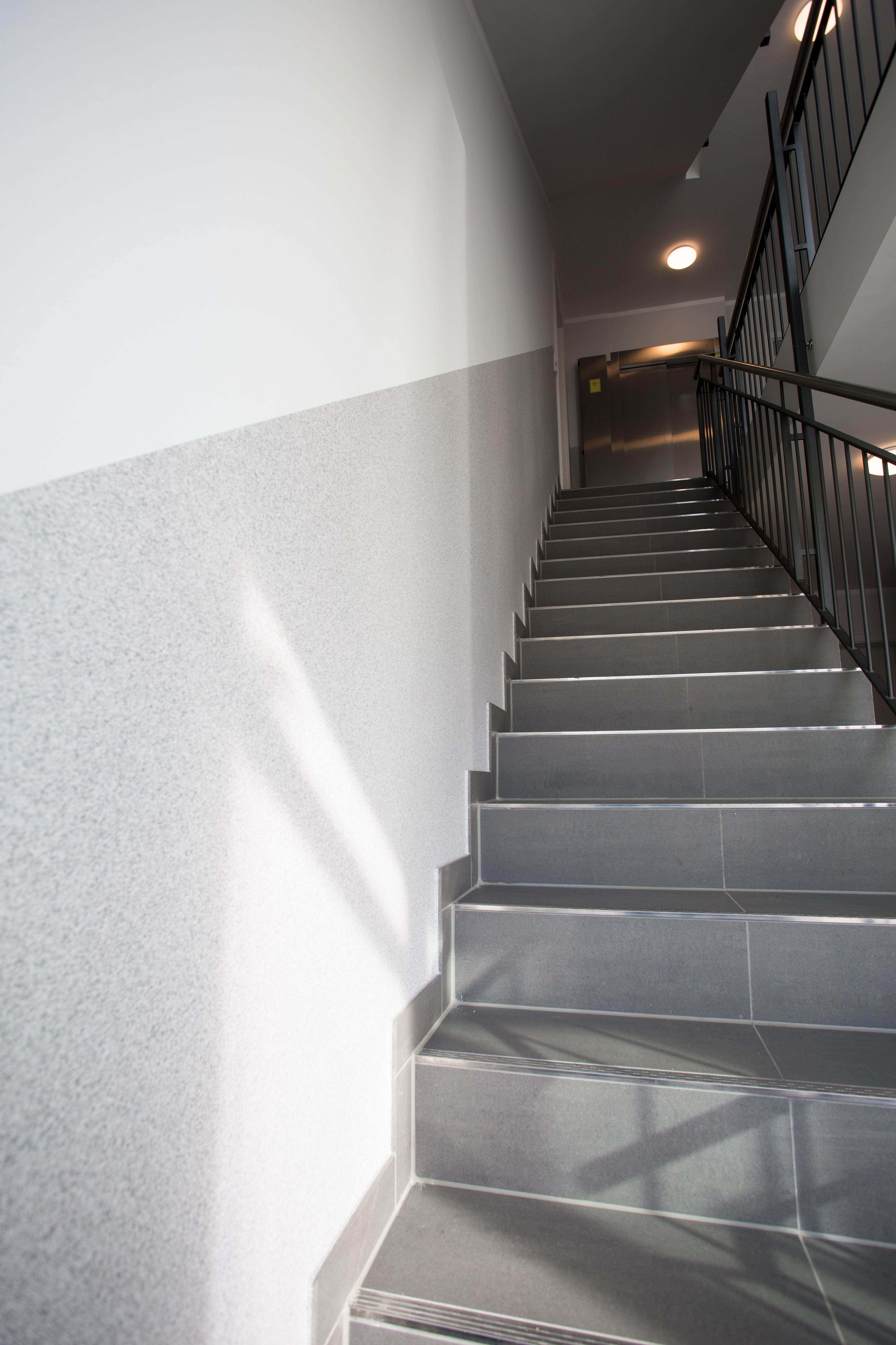 maler-hollender-9747.jpg